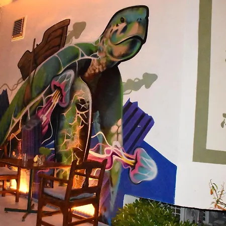 Hotel Caretta Caretta