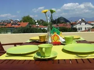 Hotel Caretta Caretta 2*