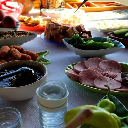 Caretta Caretta ホテル ダルヤン