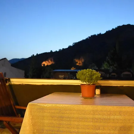 Caretta Caretta 2* ダルヤン