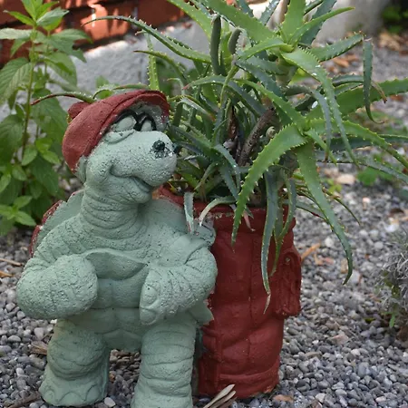 Caretta Caretta ホテル ダルヤン