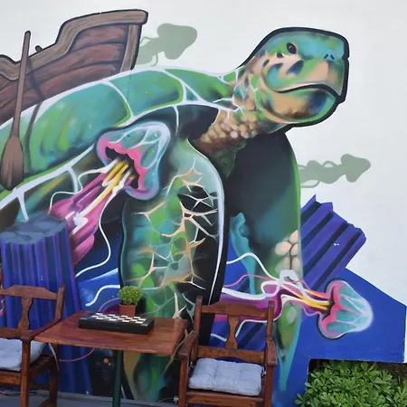 Caretta Caretta ダルヤン