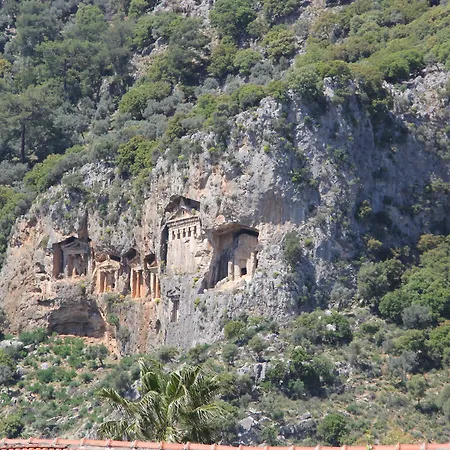 Caretta Caretta 2* ダルヤン