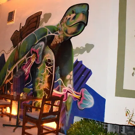 Caretta Caretta ダルヤン