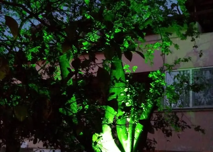 Caretta Caretta 2* Dalyan